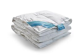 - DE BESTE DIXXIUS BRONZE ROYAL CUSTOM CLIMATE 2 DEKBED - ALLES WAT JE MOET WETEN
