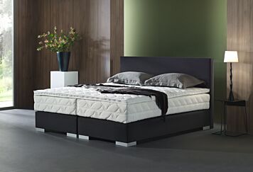 havik strottenhoofd Broederschap Leren boxspring kopen? | Kunstleer | Swiss Sense