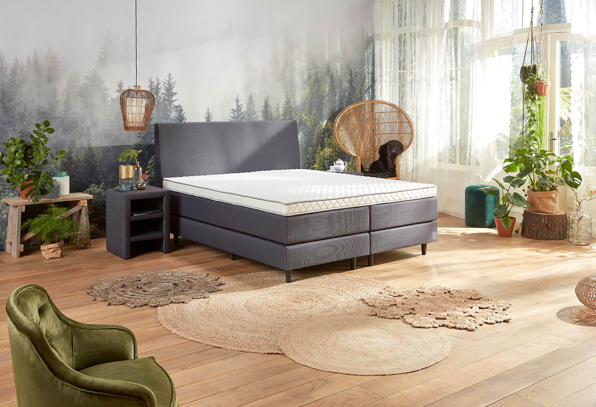 Bruin Boxspring Home 140