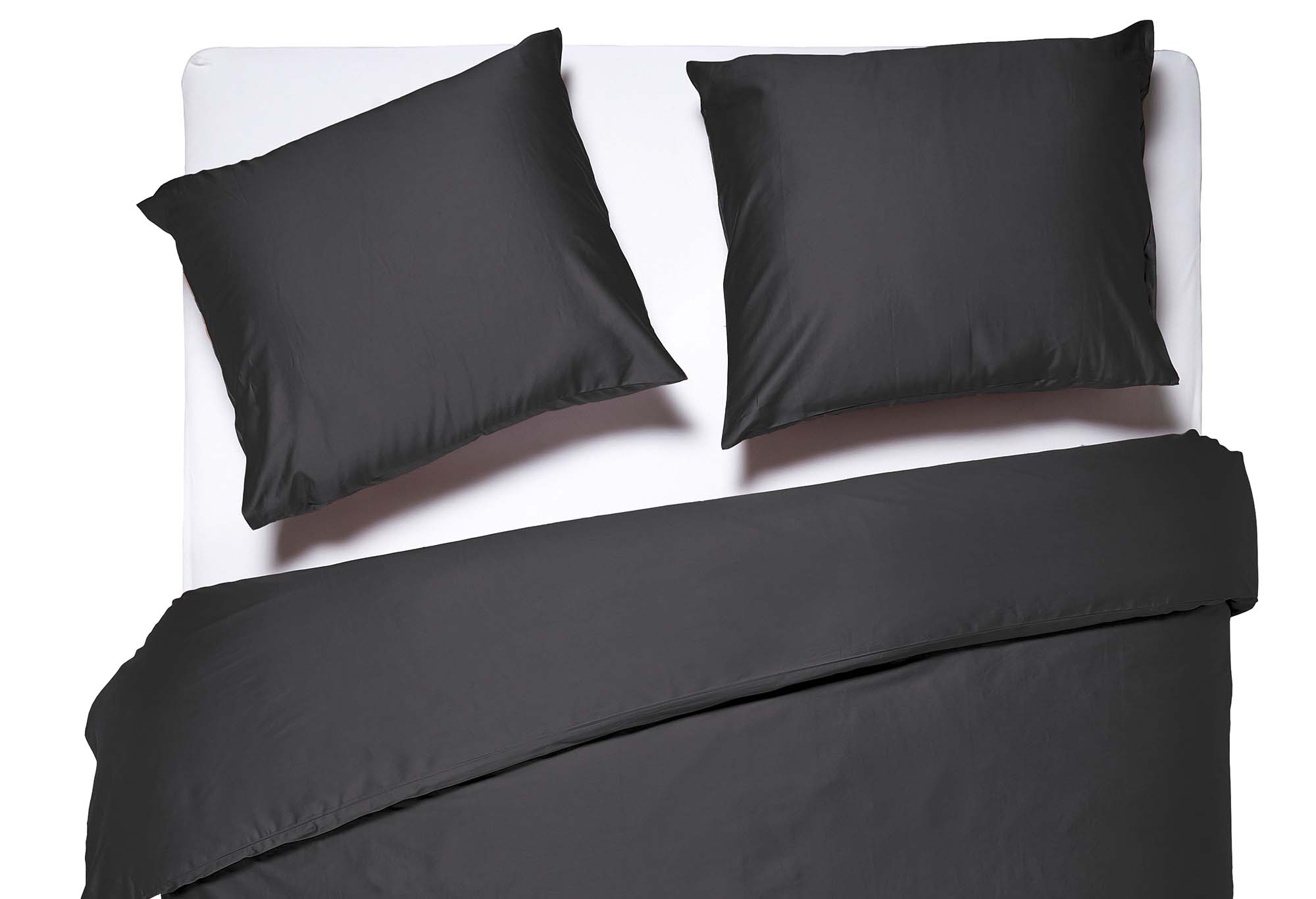 Dixxius Luxurious | Swiss Sense
