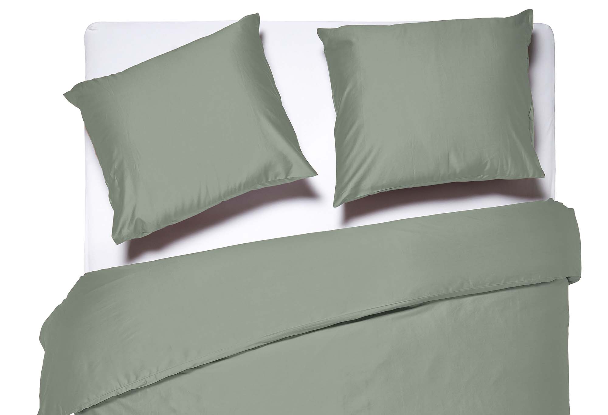 Dixxius Luxurious | Swiss Sense