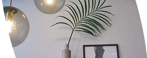 Dit zijn de mooiste planten voor in jouw slaapkamer