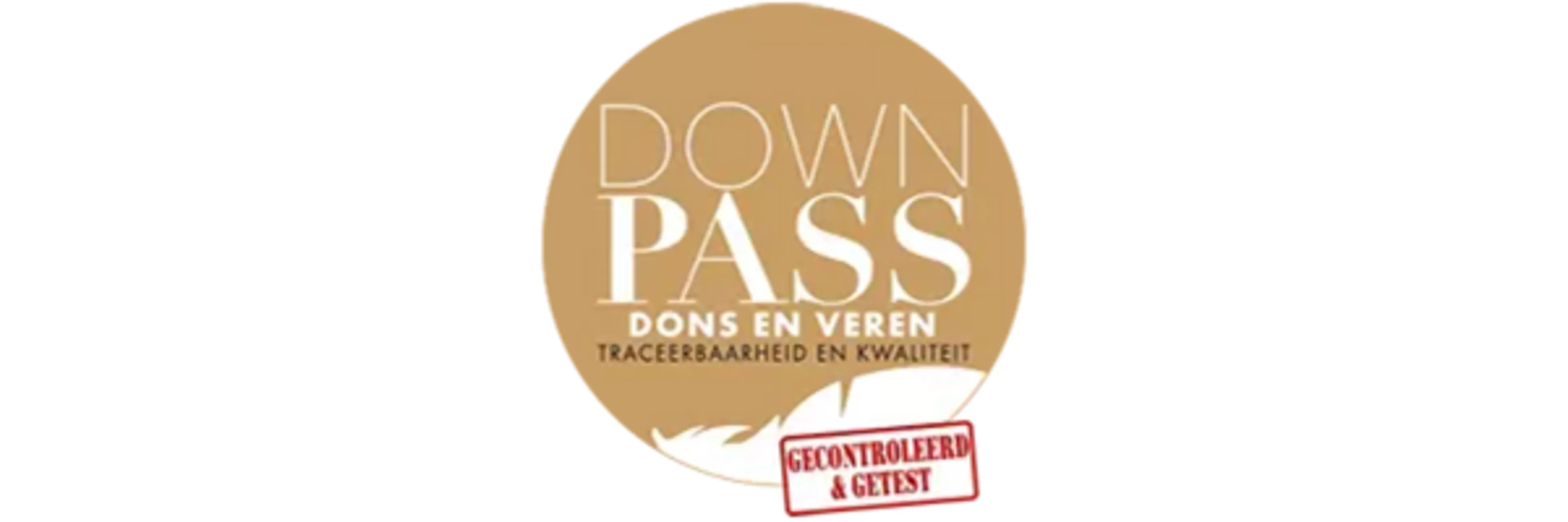 DownPass