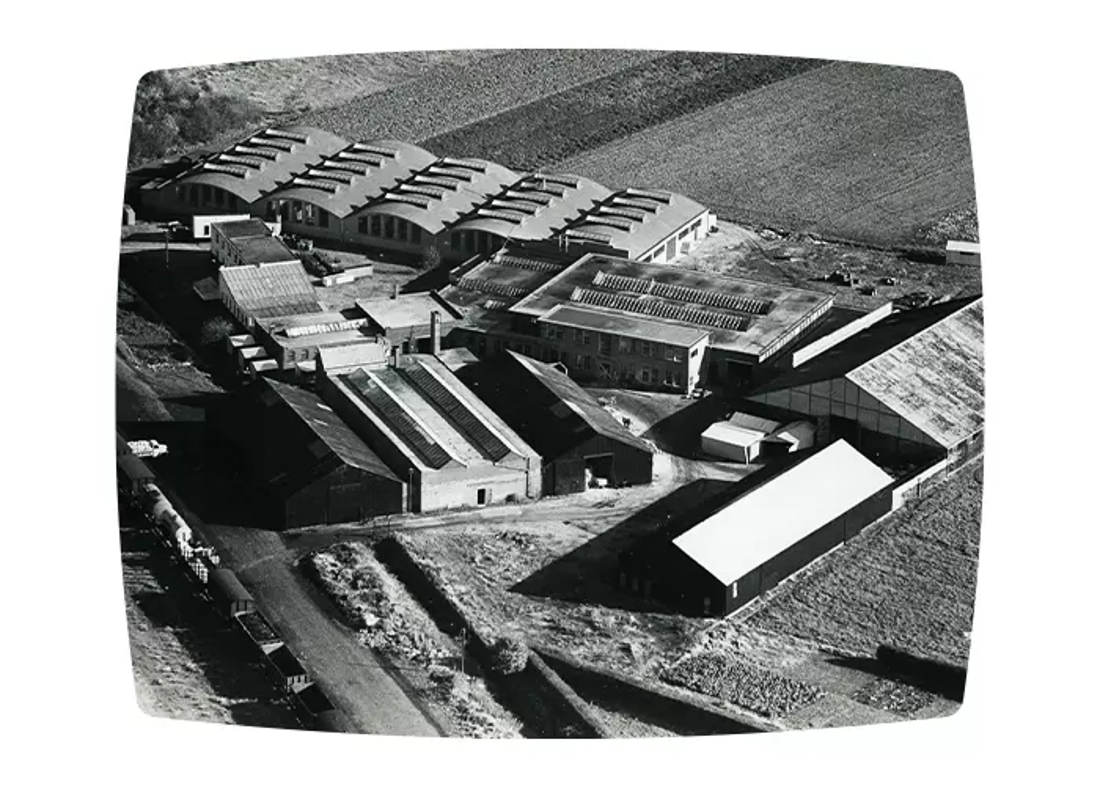 1982