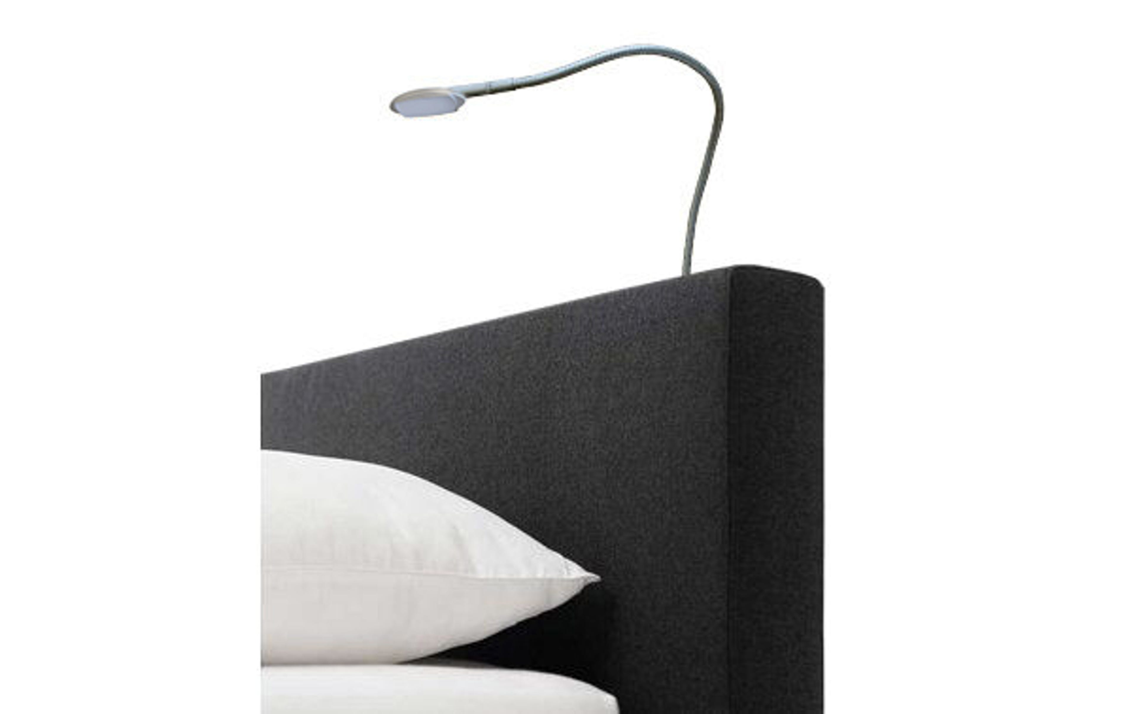 Bedlamp Snake